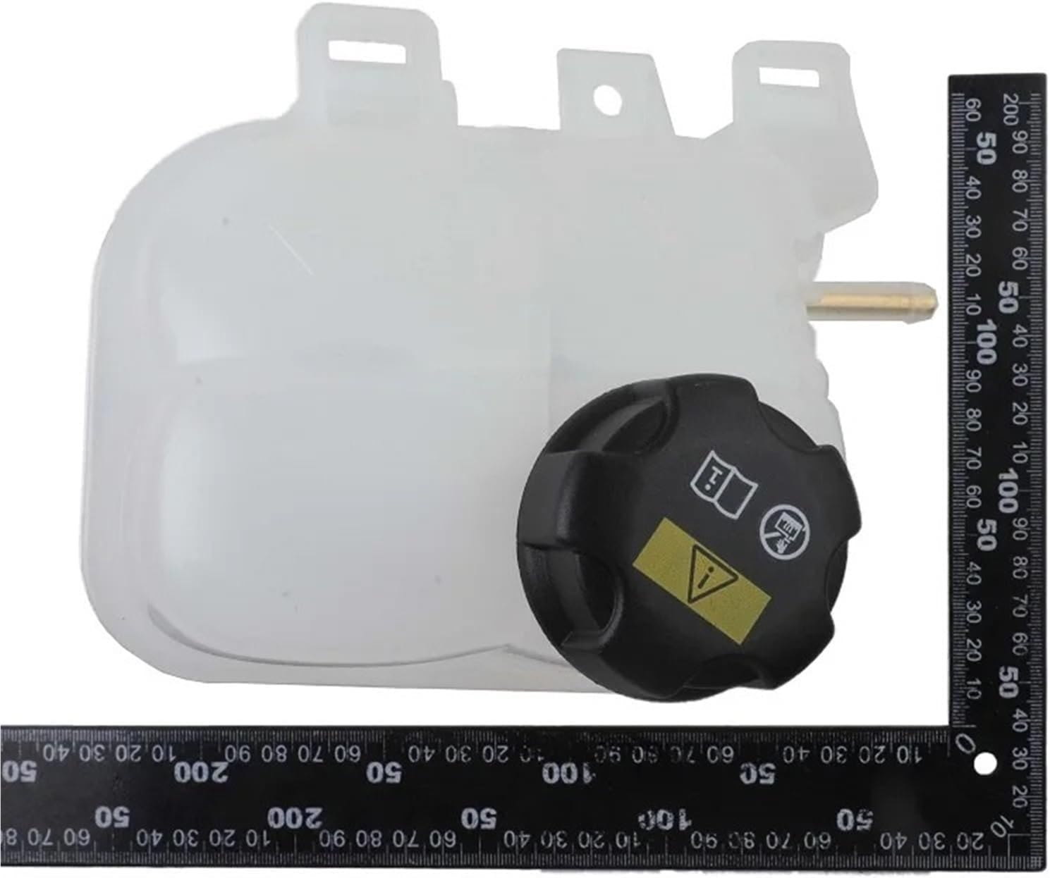 熱帯魚繁殖大鑑 熱帯魚繁殖入門 | 東 博司 |本 | 通販 | Amazon